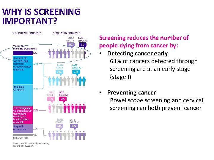 WHY IS SCREENING IMPORTANT? Screening reduces the number of people dying from cancer by: