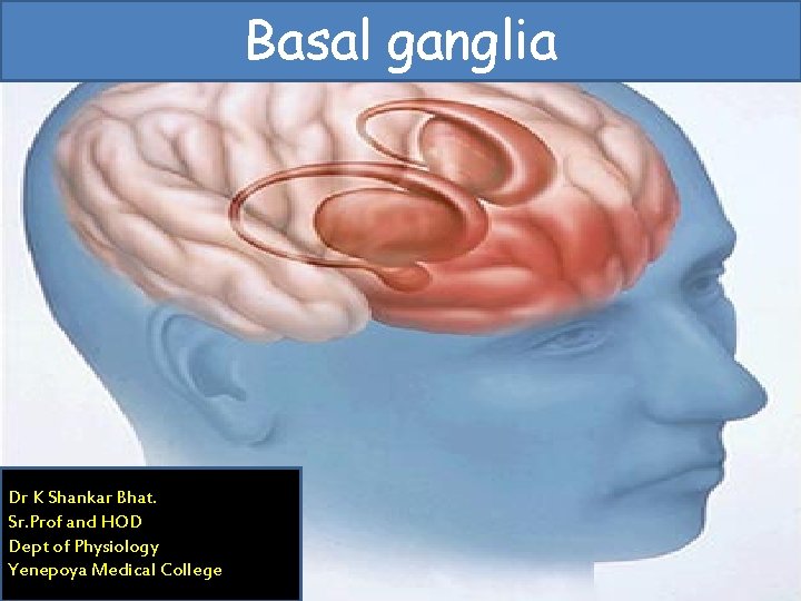 Basal ganglia Dr K Shankar Bhat. Sr. Prof and HOD Dept of Physiology Yenepoya
