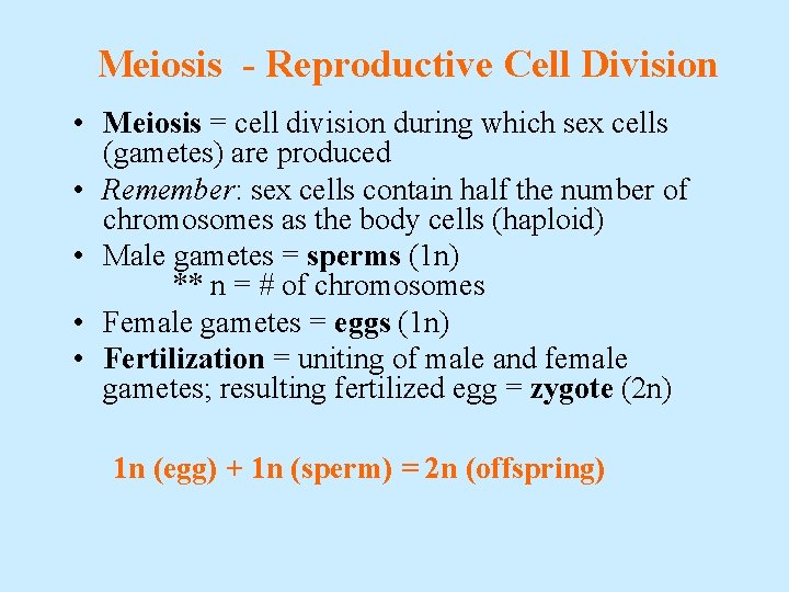 Meiosis - Reproductive Cell Division • Meiosis = cell division during which sex cells