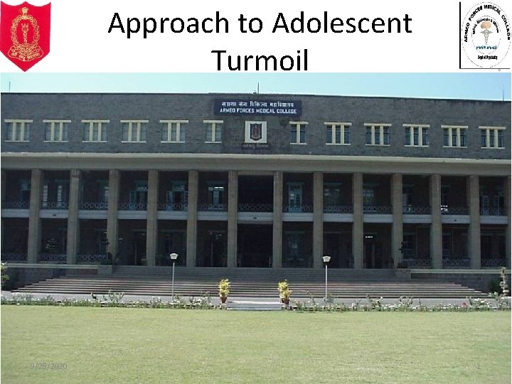 Approach to Adolescent Turmoil 9/25/2020 1 