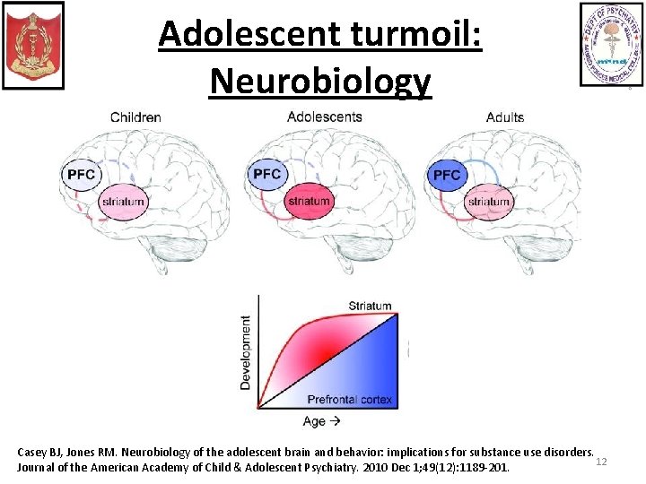 Adolescent turmoil: Neurobiology Casey BJ, Jones RM. Neurobiology of the adolescent brain and behavior: