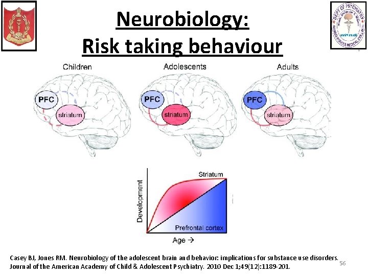 Neurobiology: Risk taking behaviour Casey BJ, Jones RM. Neurobiology of the adolescent brain and