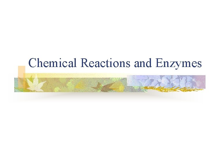Chemical Reactions and Enzymes 