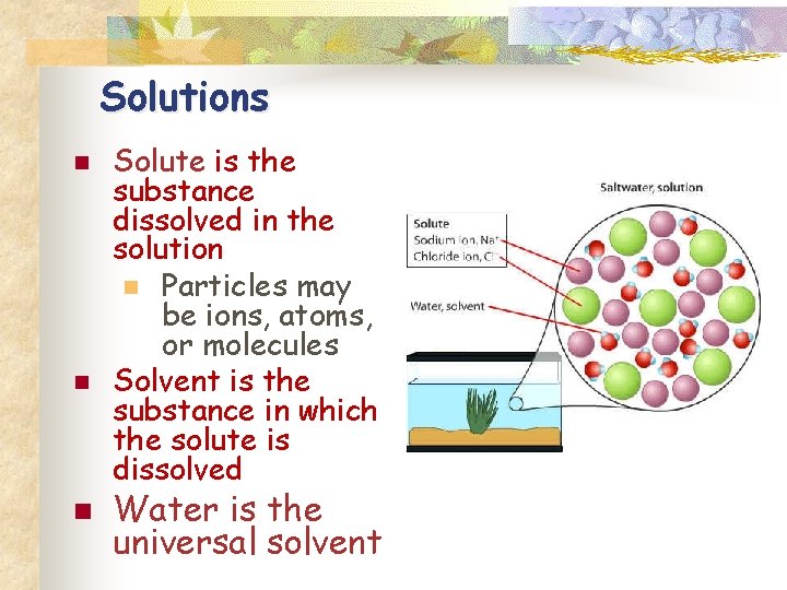 Solutions n n n Solute is the substance dissolved in the solution n Particles