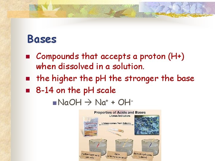Bases n n n Compounds that accepts a proton (H+) when dissolved in a