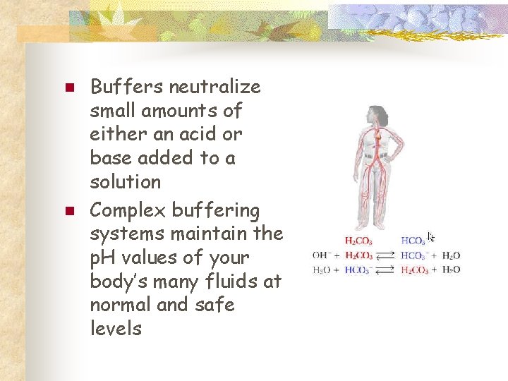 n n Buffers neutralize small amounts of either an acid or base added to
