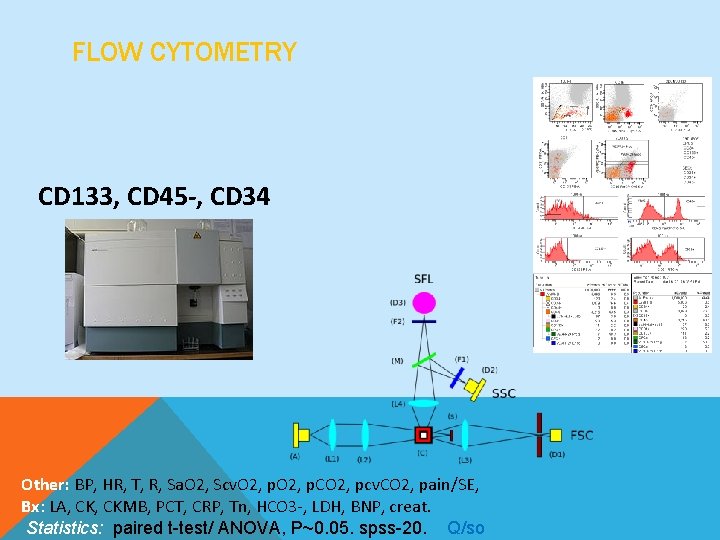 FLOW CYTOMETRY CD 133, CD 45 -, CD 34 Other: BP, HR, T, R,