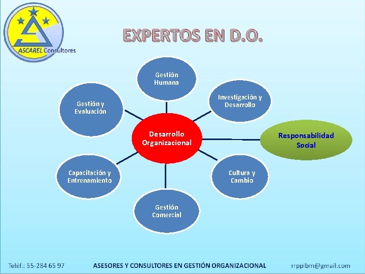 EXPERTOS EN D. O. Gestión Humana Investigación y Desarrollo Gestión y Evaluación Desarrollo Organizacional