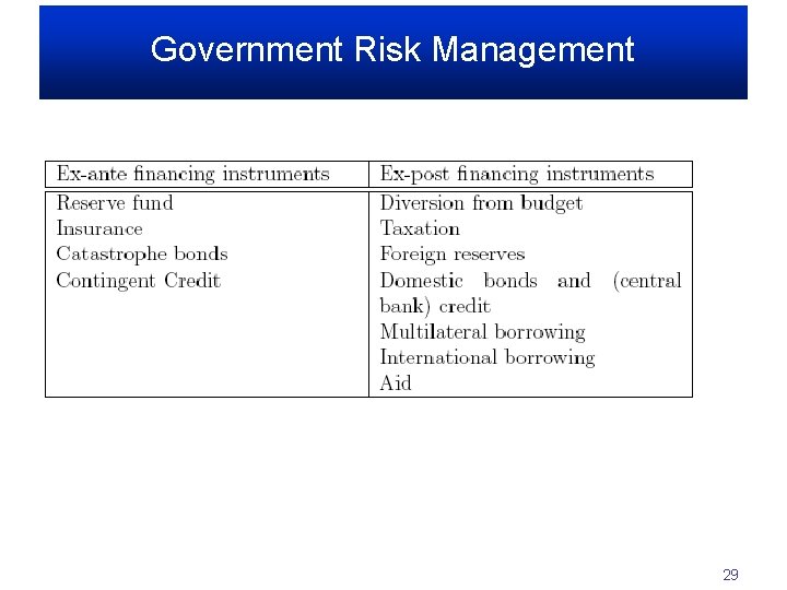 Government Risk Management 29 