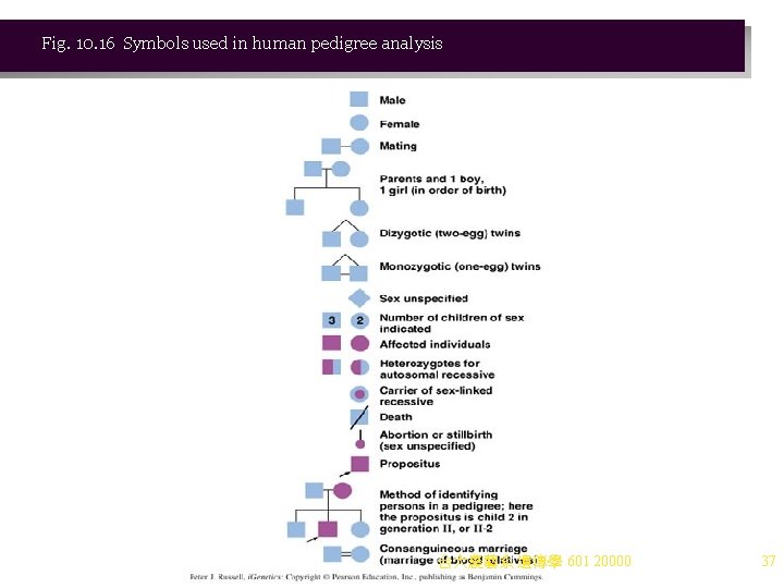 Fig. 10. 16 Symbols used in human pedigree analysis 台大農藝系 遺傳學 601 20000 37