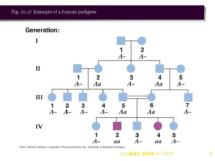 Fig. 10. 17 Example of a human pedigree 台大農藝系 遺傳學 601 20000 38 