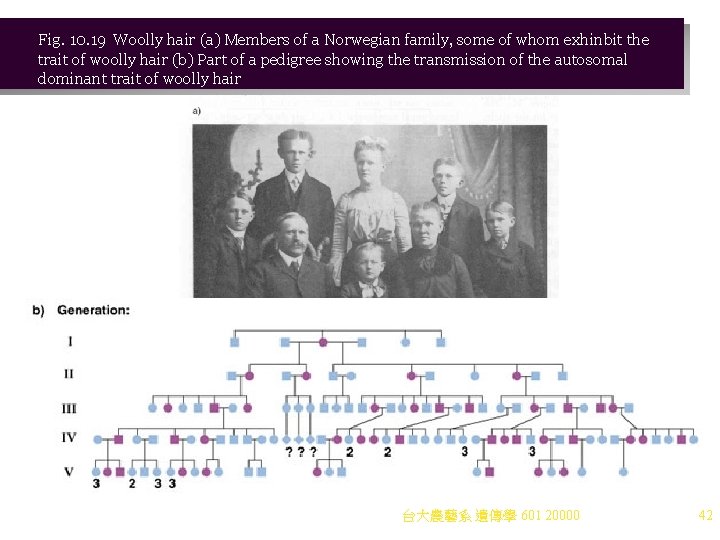 Fig. 10. 19 Woolly hair (a) Members of a Norwegian family, some of whom