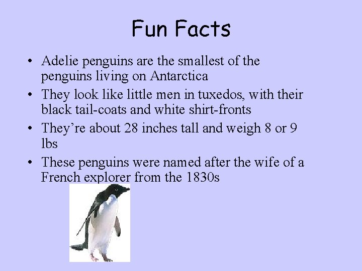 Fun Facts • Adelie penguins are the smallest of the penguins living on Antarctica