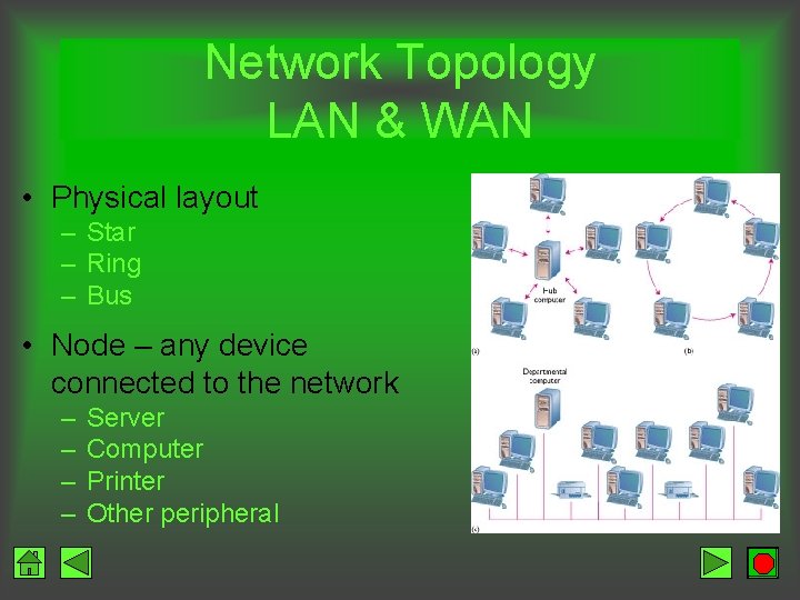 Network Topology LAN & WAN • Physical layout – Star – Ring – Bus