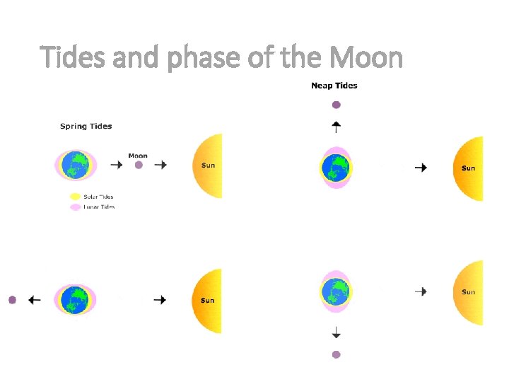 Tides and phase of the Moon Tides and phase of the Moon