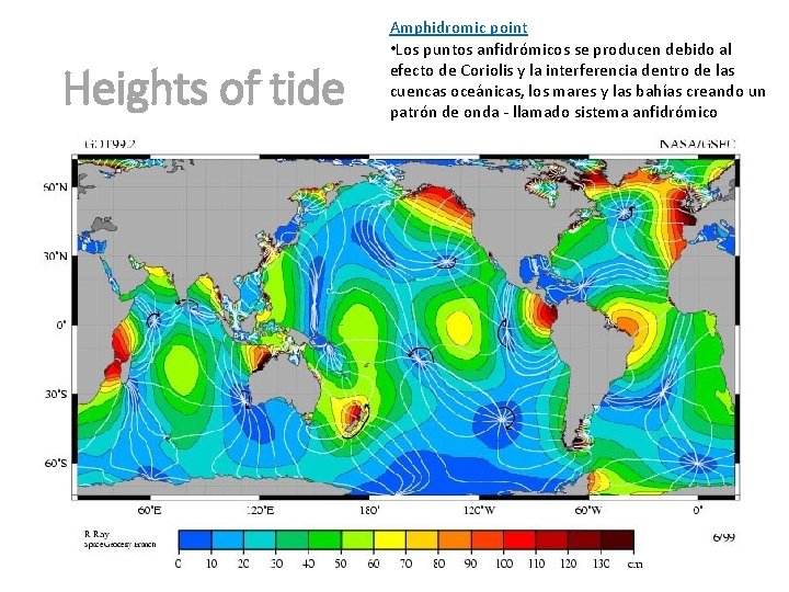 Heights of tide Amphidromic point • Los puntos anfidrómicos se producen debido al efecto Heights of tide Amphidromic point • Los puntos anfidrómicos se producen debido al efecto