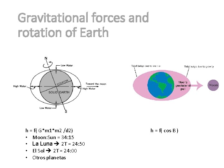 Gravitational forces and rotation of Earth h = f( G*m 1*m 2 /d 2) Gravitational forces and rotation of Earth h = f( G*m 1*m 2 /d 2)