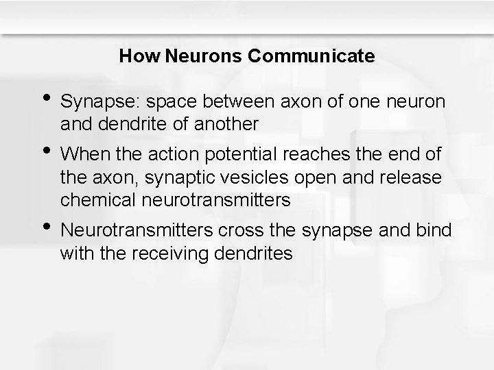 How Neurons Communicate • Synapse: space between axon of one neuron and dendrite of