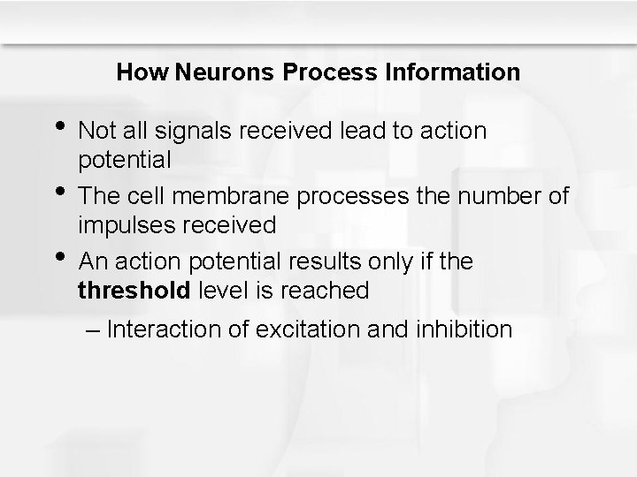 How Neurons Process Information • Not all signals received lead to action • •