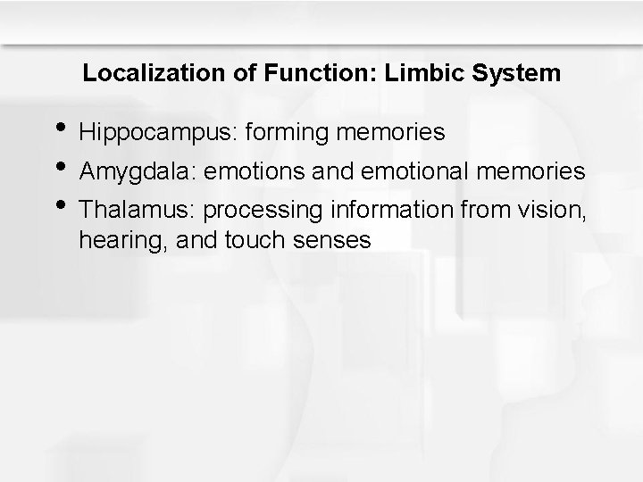 Localization of Function: Limbic System • Hippocampus: forming memories • Amygdala: emotions and emotional