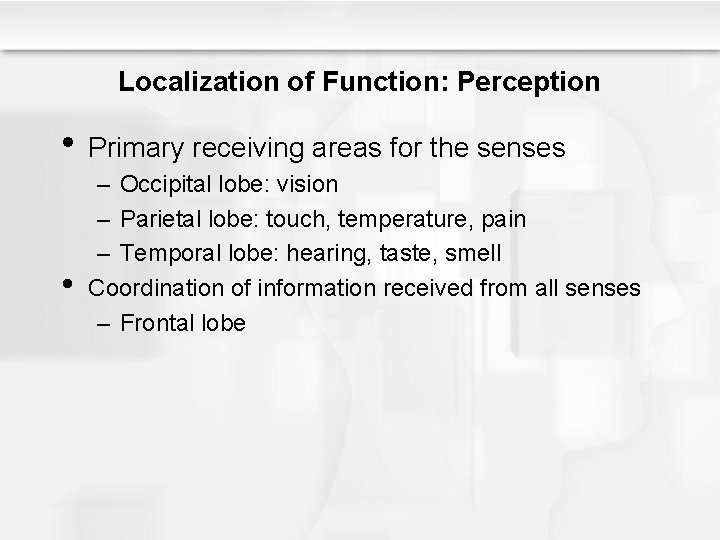 Localization of Function: Perception • Primary receiving areas for the senses • – Occipital