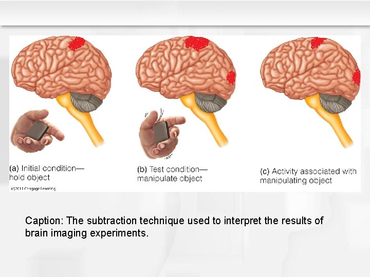 Caption: The subtraction technique used to interpret the results of brain imaging experiments. 