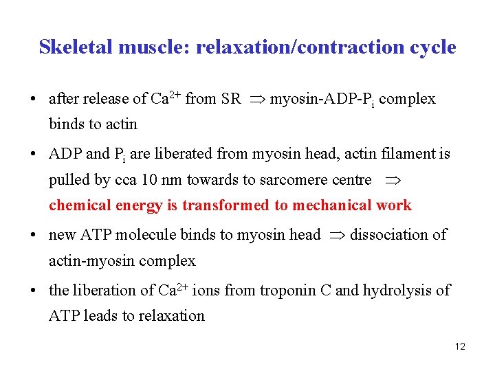 Skeletal muscle: relaxation/contraction cycle • after release of Ca 2+ from SR myosin-ADP-Pi complex