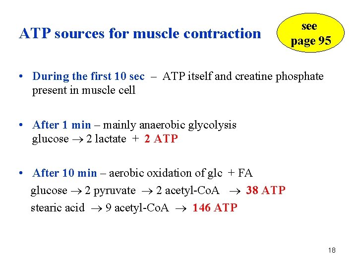 ATP sources for muscle contraction see page 95 • During the first 10 sec