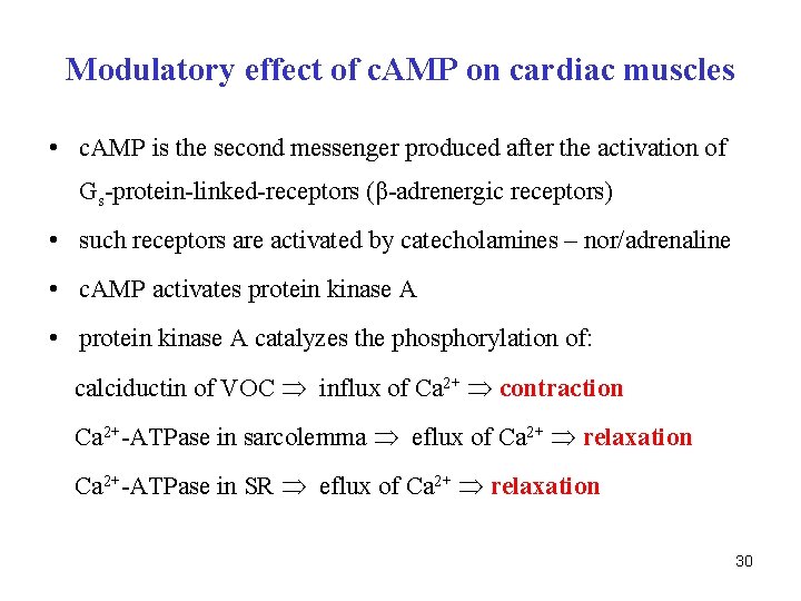 Modulatory effect of c. AMP on cardiac muscles • c. AMP is the second