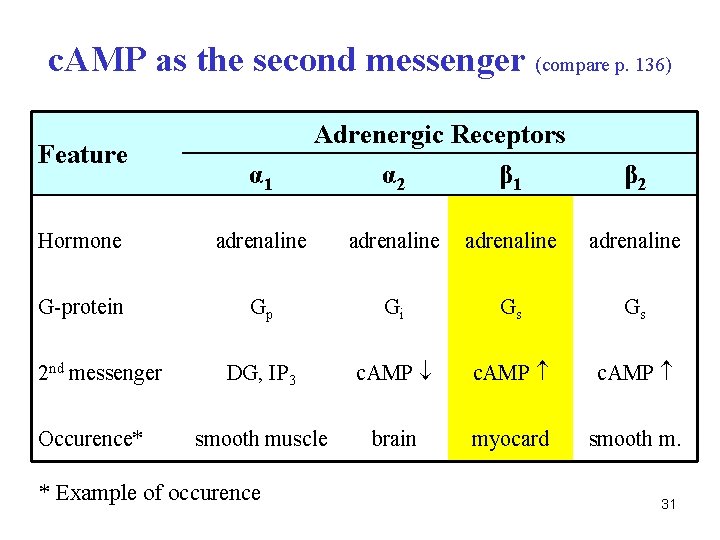 c. AMP as the second messenger (compare p. 136) Feature α 1 Adrenergic Receptors