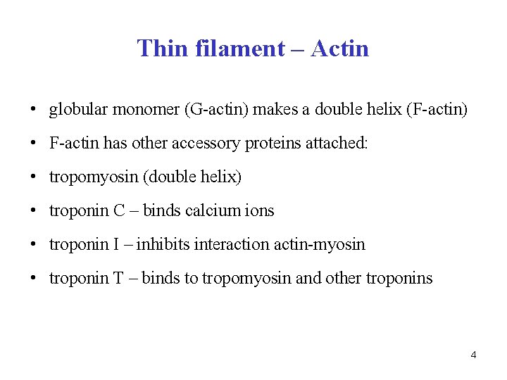 Thin filament – Actin • globular monomer (G-actin) makes a double helix (F-actin) •