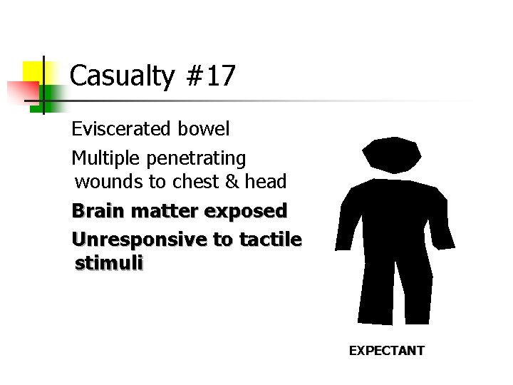 Casualty #17 Eviscerated bowel Multiple penetrating wounds to chest & head Brain matter exposed