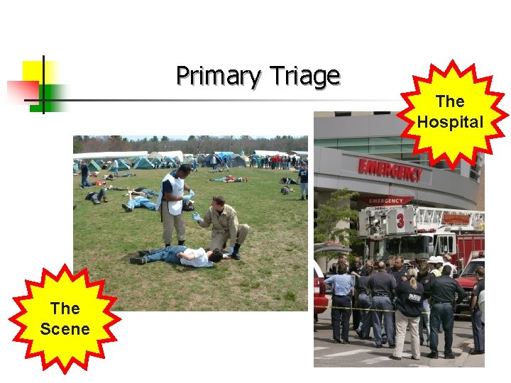 Primary Triage The Hospital The Scene 