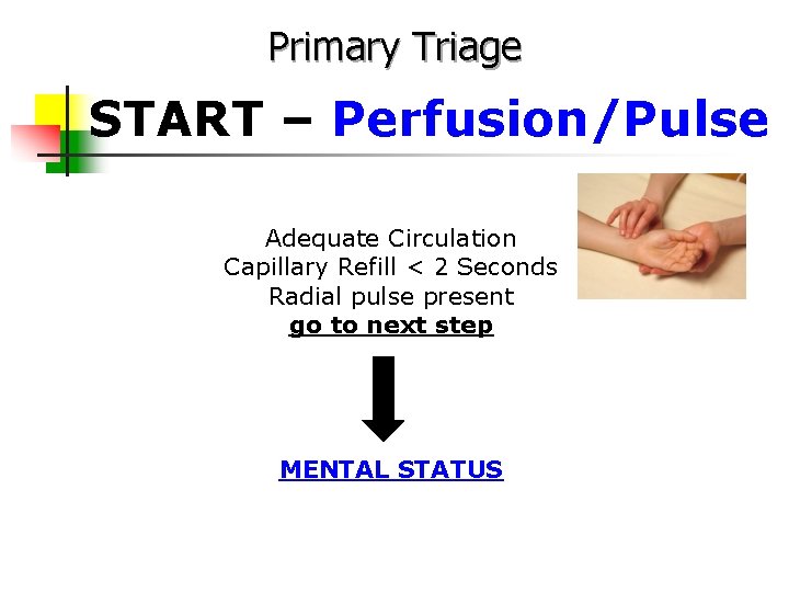 Primary Triage START – Perfusion/Pulse Adequate Circulation Capillary Refill < 2 Seconds Radial pulse