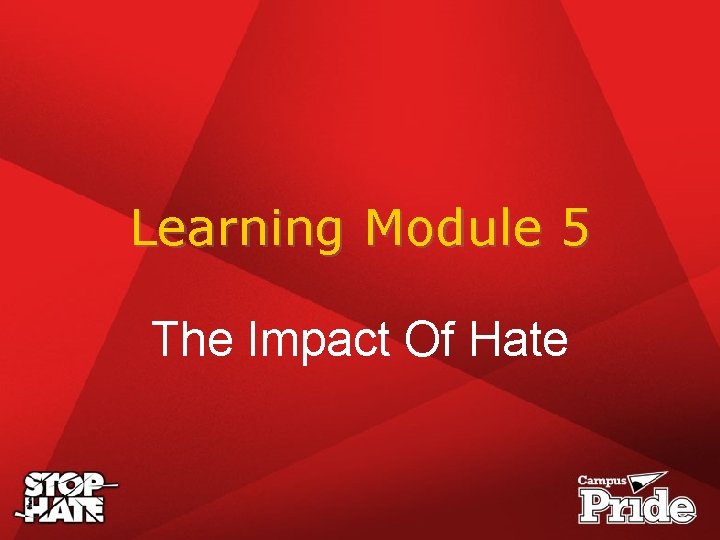 Learning Module 5 The Impact Of Hate 