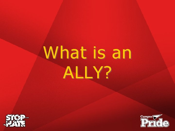 What is an ALLY? 