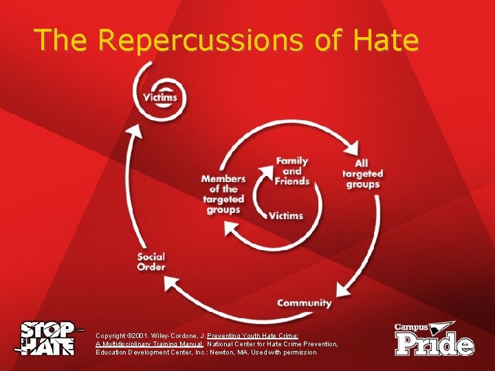 The Repercussions of Hate Copyright © 2001. Wiley-Cordone, J. Preventing Youth Hate Crime: A