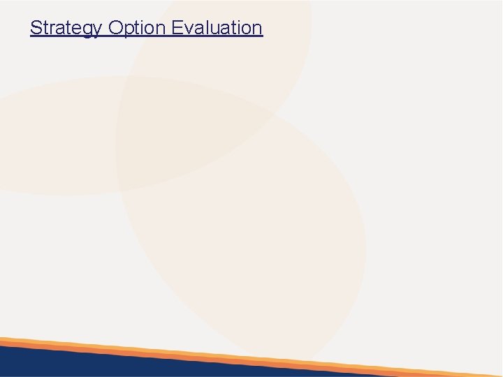 Strategy Option Evaluation 