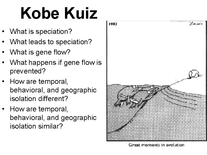 Kobe Kuiz • • What is speciation? What leads to speciation? What is gene