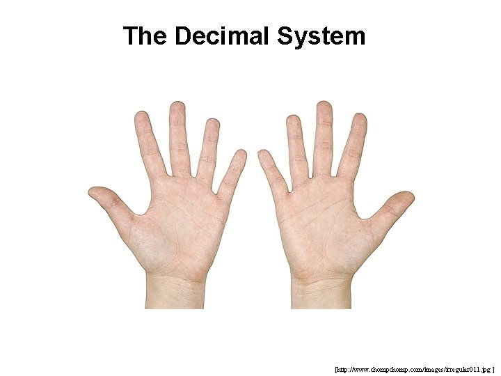 The Decimal System [http: //www. chomp. com/images/irregular 011. jpg ] 