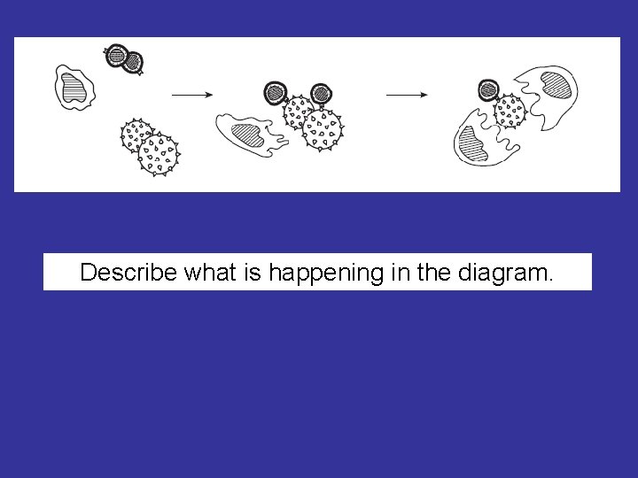 Describe what is happening in the diagram. 