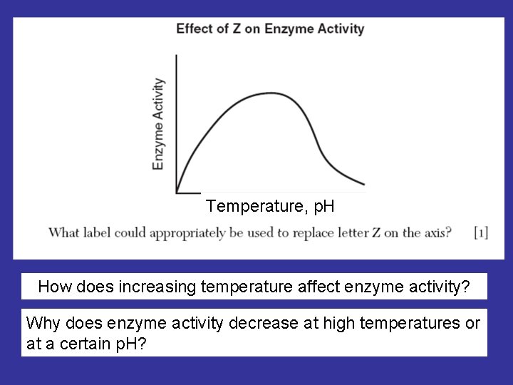 Temperature, p. H How does increasing temperature affect enzyme activity? Why does enzyme activity