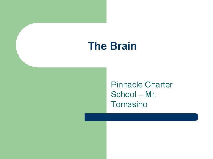 The Brain Pinnacle Charter School – Mr. Tomasino 