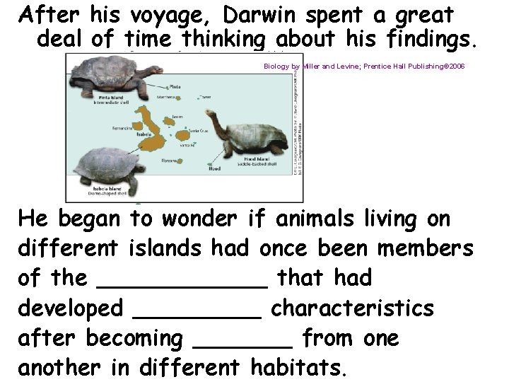 After his voyage, Darwin spent a great deal of time thinking about his findings.
