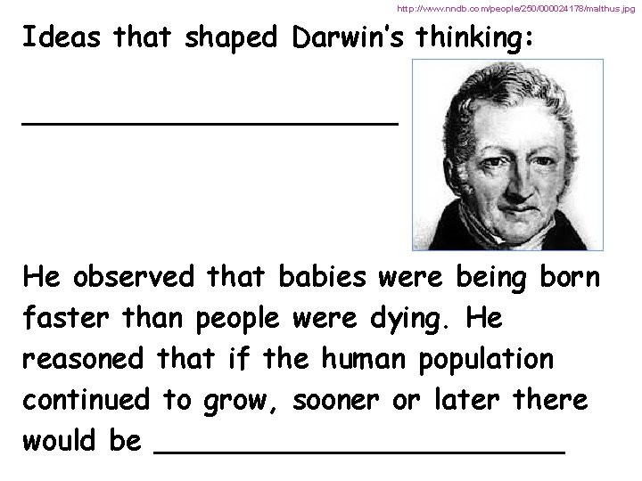 http: //www. nndb. com/people/250/000024178/malthus. jpg Ideas that shaped Darwin’s thinking: ___________ He observed that