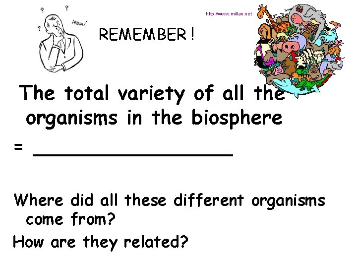 http: //www. millan. net REMEMBER ! The total variety of all the organisms in