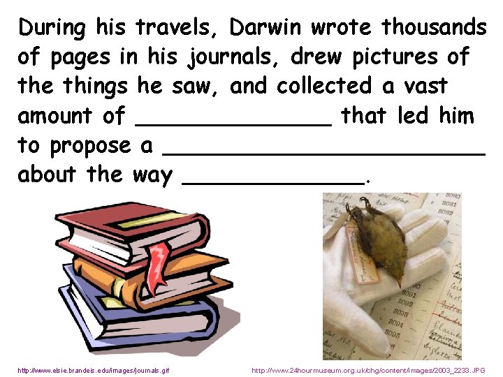 During his travels, Darwin wrote thousands of pages in his journals, drew pictures of