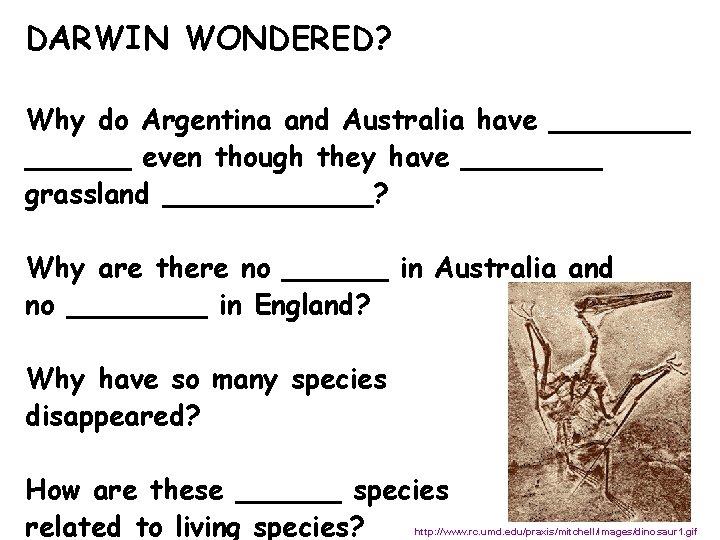 DARWIN WONDERED? Why do Argentina and Australia have ______ even though they have ____