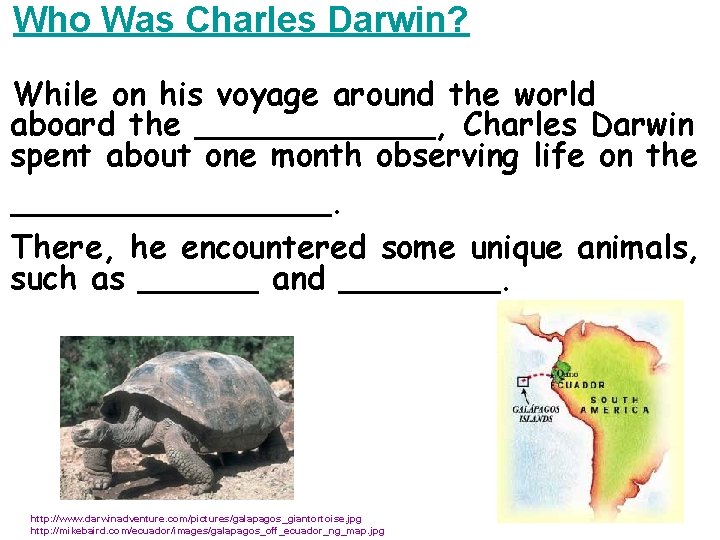 Who Was Charles Darwin? While on his voyage around the world aboard the ______,