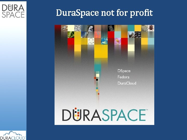 Dura. Space not for profit 